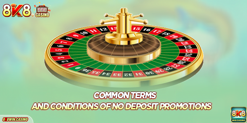 Common Terms and Conditions of No Deposit Promotions