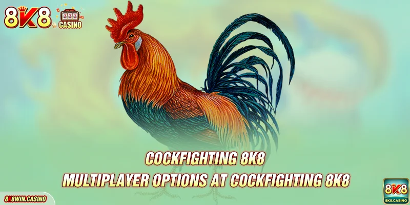 Multiplayer options at Cockfighting FB777