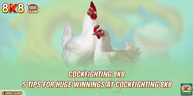 5 tips for huge winnings at Cockfighting FB777